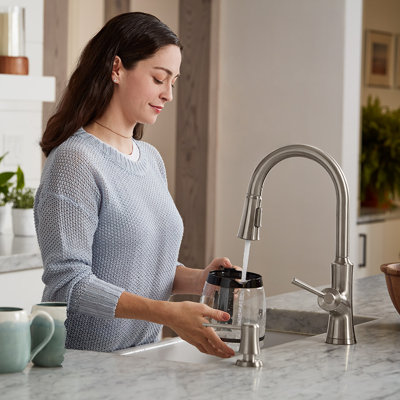 Hansgrohe Joleena Pull Down Kitchen Faucet & Reviews | Wayfair